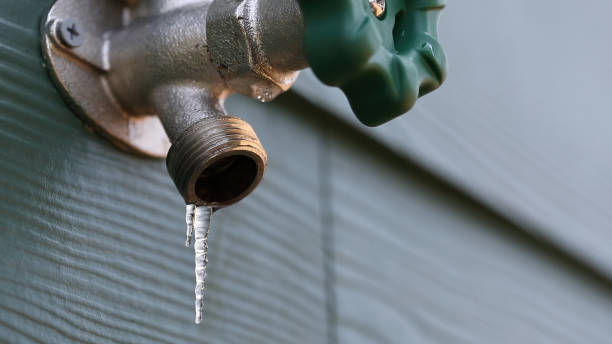 Best Sewer Line Repair  in Darmstadt, IN