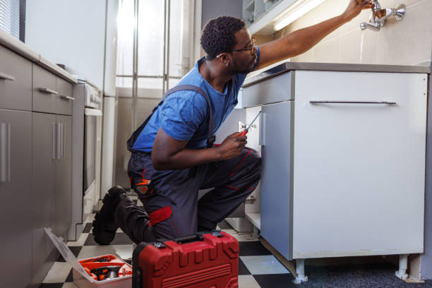 Best Water Softener Installation  in Darmstadt, IN